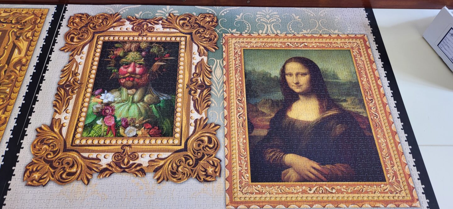 Le plus grand puzzle du monde à Saint-Aspais est terminé ...