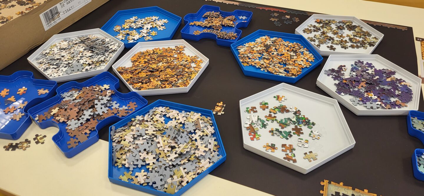Le plus grand puzzle du monde à Saint-Aspais est terminé ...
